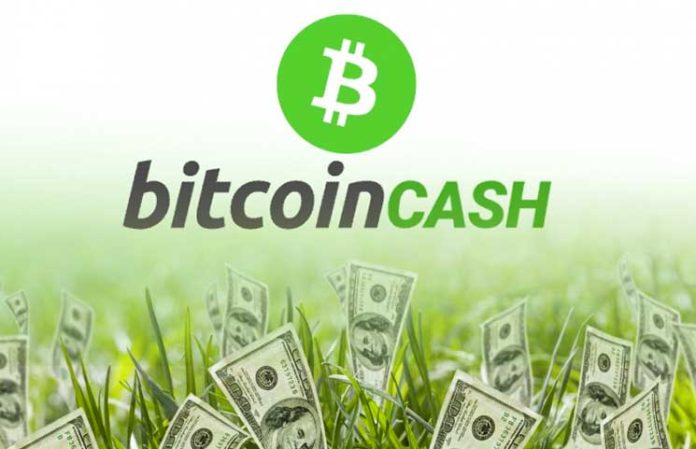 ecco la tabella di marcia per il bitcoin cash commerciante di bitcoin di satochi